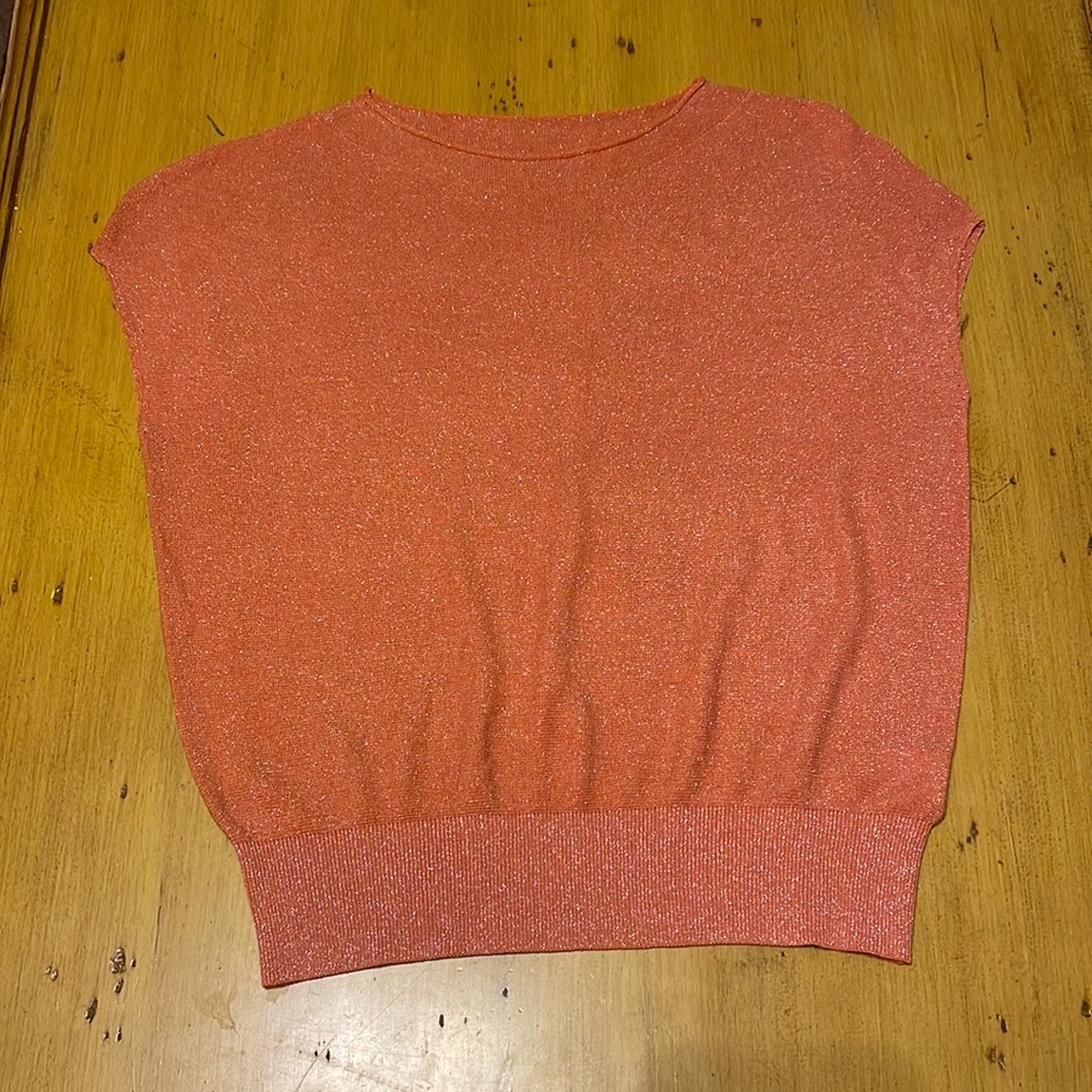 Glittery top